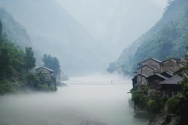 淡饭”中的“粗茶”巫溪老鹰茶！AG真人平台书记县长答丨“粗茶(图5)